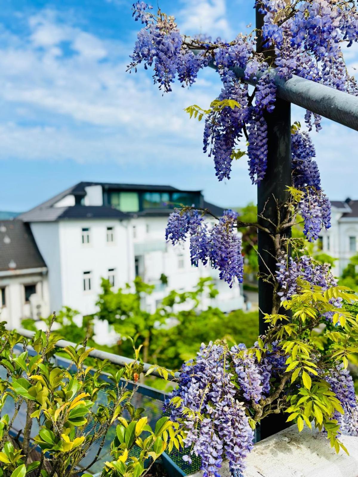 Pension Am Sueltebrunnen Bad Oeynhausen Extérieur photo
